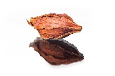 《赛博朋克2077：往日之影》将出席科隆展 8月23日见